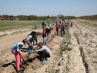 Las coraz bliżej nas