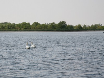 Majówka nad jeziorem