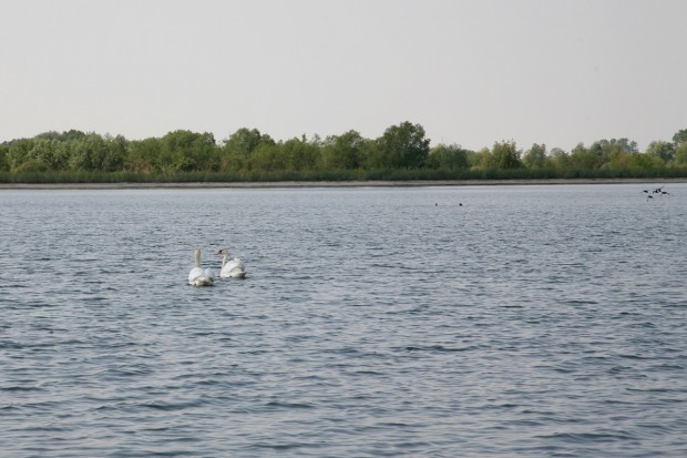 Majówka nad jeziorem