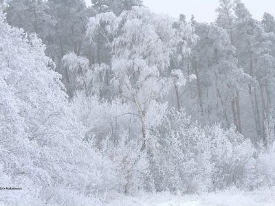 Opowieść szesnasta: Kraina lodowych kropelek