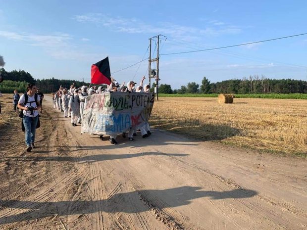 Przez zboże w obronie klimatu