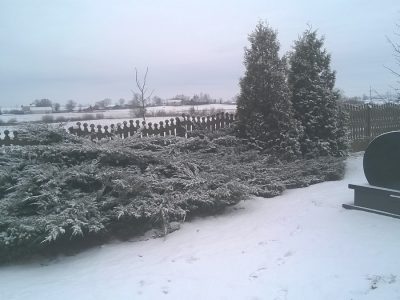 Zobowiązanie wypełnione