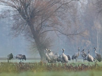 Schyłek lata