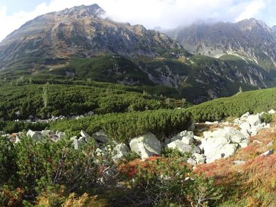 Zakopane, Zakopane…