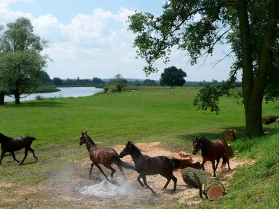 Śladem pierwszych gwarków